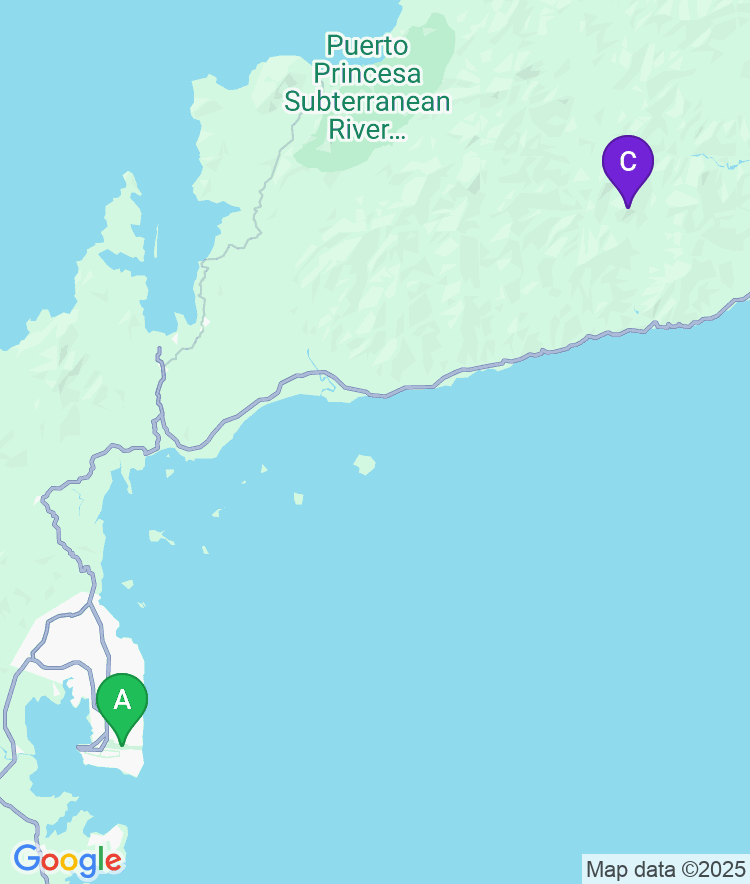 Palawan Available Airport Options